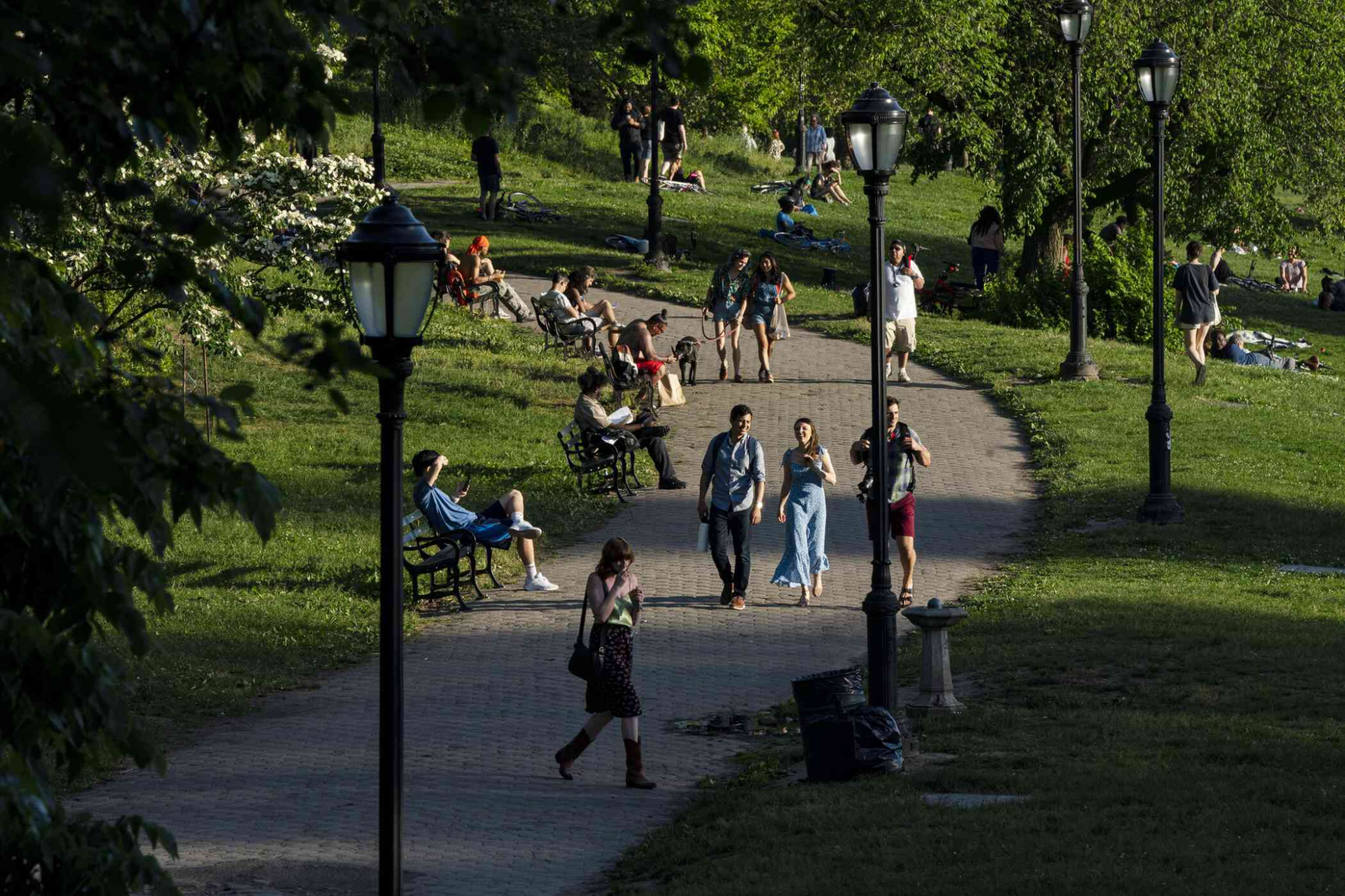 Partisipasi Publik Taman Kota